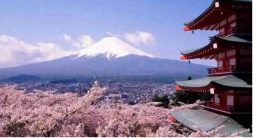 不會日語怎么日淘?推薦值得信賴的日本千紙鶴日淘網站!